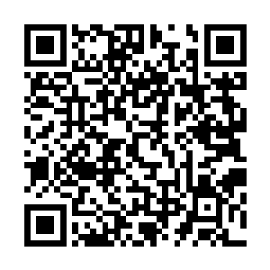 不过她此时也能够感觉到这些活下来的修士都已经脱胎换骨二维码生成