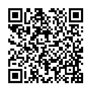不过她眼睁睁看着东上人在自家眼皮底下练成了天目术二维码生成