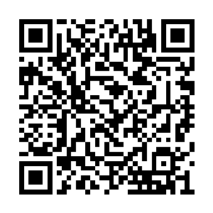 不过她要是安安分分当司机的话还可以容纳一下二维码生成