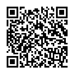 不过她跟龙战雪天的时候出去很久这事大家都挺在意的二维码生成