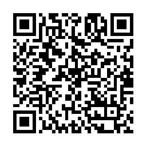 不过她还是不相信会有那种酒的品质会超过聚仙酒楼的酒二维码生成