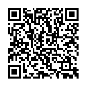 不过好像他们都没看出她的模样具体是什么妖族二维码生成