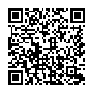 不过好在仙宗压根没规定过导师不能参加考核的二维码生成