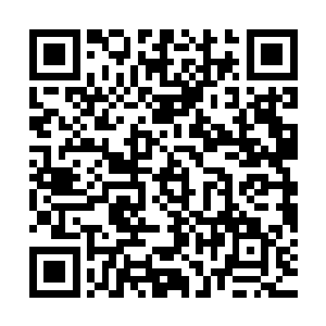 不过好在教授之前已经告知马文噩梦之境中可能出现的种种情况二维码生成