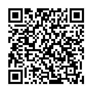 不过好在现在的杨戬的修为比之前的时候已经提升了不少二维码生成