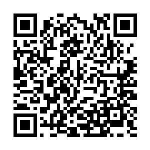 不过好在闲着没事的时候可以去家里面那边混点吃的二维码生成