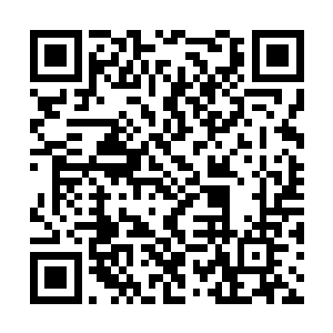 不过好笑的是庞籍的文书要比朝廷的特使先到秦州二维码生成