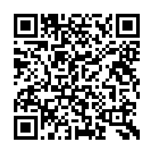 不过如他这样的圣境强者在那个庞大的势力当中二维码生成