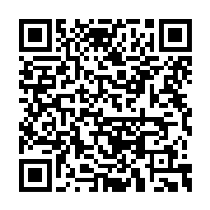 不过如果一旦他们的老子也加入了争宠行列的话二维码生成
