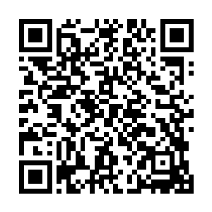 不过如果他们知道这些人不过是被人注射了一种狼毒的话二维码生成