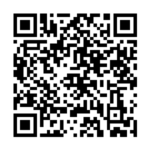 不过如果只有这样才可以让她心甘情愿地陪着他睡的话二维码生成