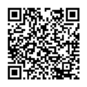 不过妩衣的阵法只要能困住返虚境一时半会就行了二维码生成