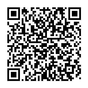 不过姑娘似乎很高傲望着贝海这边扫了一眼就踩着高根鞋走向了电梯二维码生成