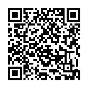 不过安迪与庞克显然都不是打算与他硬碰硬都手脚的角色二维码生成