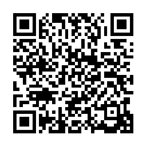 不过实在扛不住那少年面无表情拔出体内柳荫一剑的眼神二维码生成