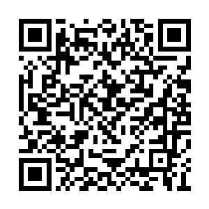 不过实际上因为新安县已经是开发得十分成熟了二维码生成