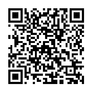不过对于心情非常迫切且一向神经大条的小兰来说二维码生成