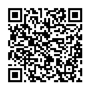 不过对于李芳慧会知道他们父亲把账本藏在墙上的砖缝内二维码生成