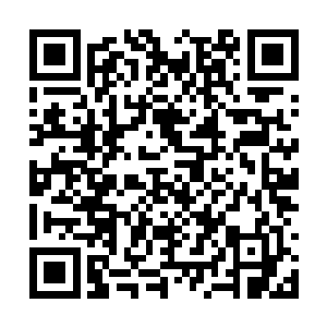 不过对于现在才在拍自己第三部电影的张东城来说二维码生成