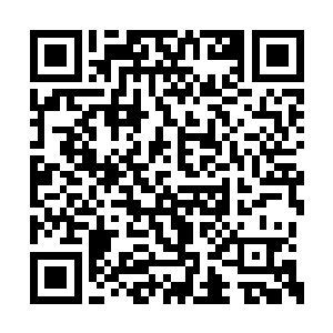 不过对于自己的事情器灵显然也不肯跟杨戬透露二维码生成