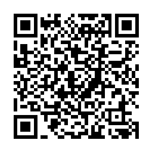 不过对于这里的魔人尸体和当时造成的周围环境的变化二维码生成