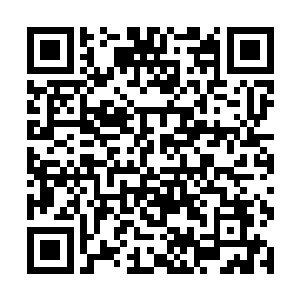 不过对方的年纪以及进入这里修炼的时间都远超过他二维码生成