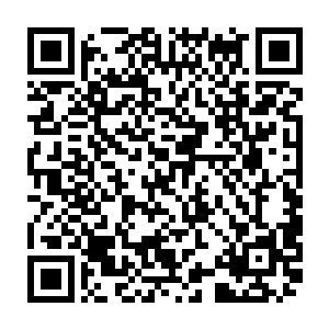 不过对方的话倒是承认了两只雏凤的确是自己从凤巢带来的两颗石头蛋所化二维码生成