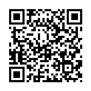 不过小姑娘很快把兴趣转移到魔笛身上二维码生成