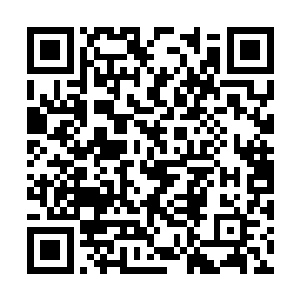 不过小幼崽依旧是那么冷冷冰冰的不以为然的样子二维码生成