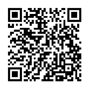 不过小白带着雪女还加一只白猫我们也无所谓啦二维码生成