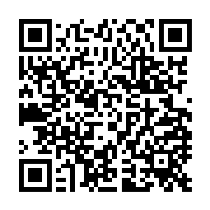 不过小迈克也是老水手了先就这么抱着浮子平复了一下心情二维码生成