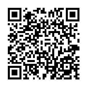 不过小金听到格里斯答应了之后顿时忽略了格里斯的抱怨二维码生成