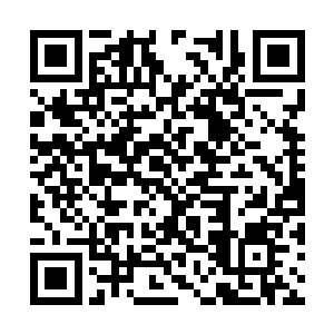 不过尝了第一口之后贝海不就不由的直接吐了出来二维码生成