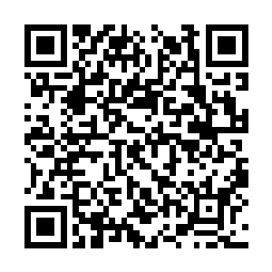 不过就在叶尊抱着小青儿朝着村子外面走去的时候二维码生成