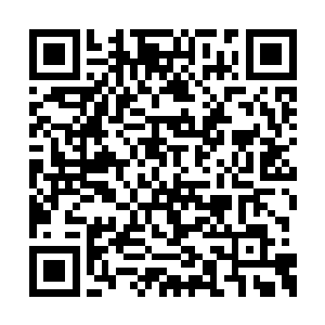 不过就在我打算将他斩杀当场以威慑全场的时候二维码生成