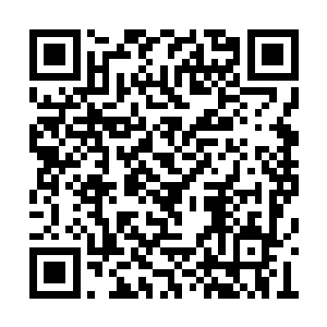 不过就算你在端木神王的洞府中获得了一些造化二维码生成