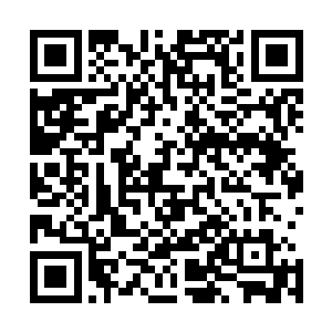 不过已经被她在梓箐抽离她魂魄的时候已经第一时间毁掉了二维码生成