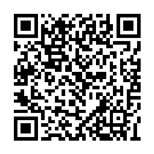 不过巴伦和约瑟法特的家族都是准备了一些东西二维码生成