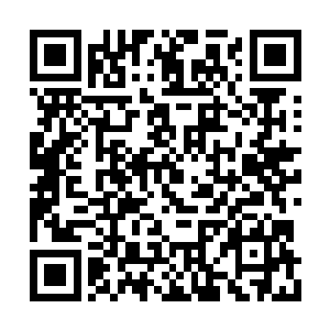 不过巴布无论是修为还是境界都要超出葛同很多二维码生成