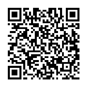 不过师傅老人家后来外出机缘巧合收了天赋极高的师弟段瑞二维码生成