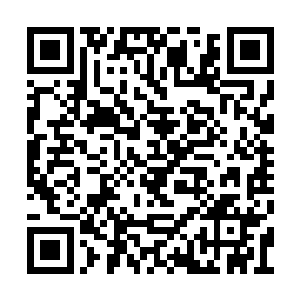 不过师父在我一进门就知道我带了其他东西回来二维码生成