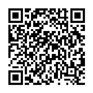 不过并不是所有的帝器都能像红凤那么顺利的突破的二维码生成