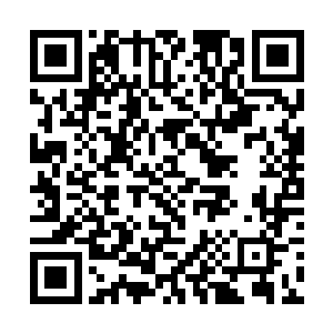 不过幸好出了这么大的事老师没再安排课全部改自习二维码生成