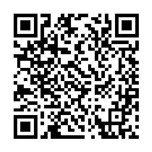 不过当他们抬起的铁棍就要落下砸在莫凡的身上时二维码生成