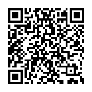 不过当他们的神识看到那些还刻意拉开一些距离二维码生成