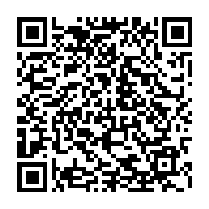 不过当他们看到这个所谓的大英雄居然孤身一人冲向了强大的罗根阿瑟之后二维码生成