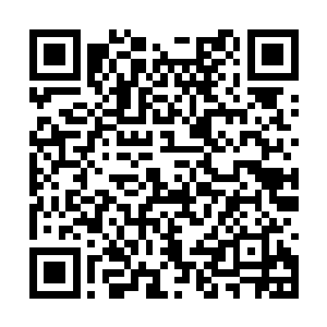 不过当他带着两个这样的卵石来到外面空间的时候二维码生成