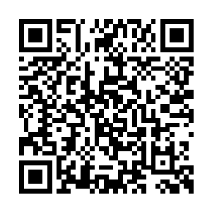 不过当他见到杨戬手中的那些金灿灿的丹药之后二维码生成