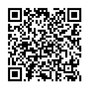 不过当他见到欧阳老爷子本人后却是相信了什么二维码生成