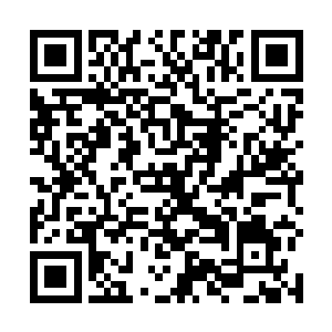 不过当她对原主的背景以及这个游戏世界越来越了解后二维码生成